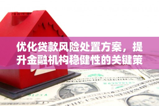 安乡优化贷款风险处置方案，提升金融机构稳健性的关键策略