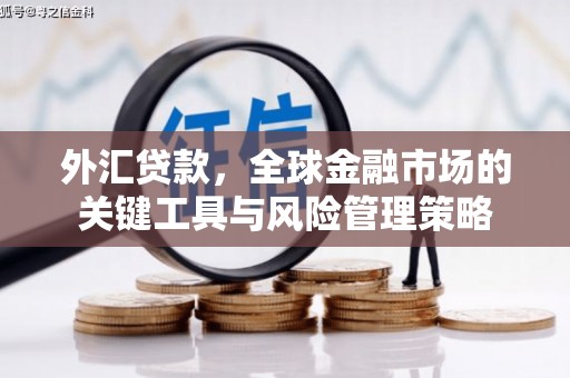 安乡外汇贷款，全球金融市场的关键工具与风险管理策略