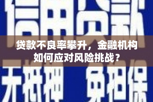 安乡贷款不良率攀升，金融机构如何应对风险挑战？