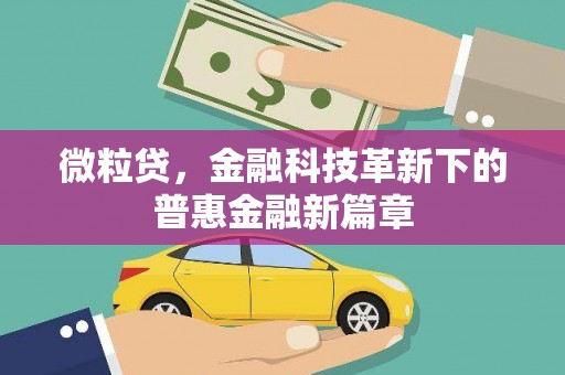 安乡微粒贷，金融科技革新下的普惠金融新篇章