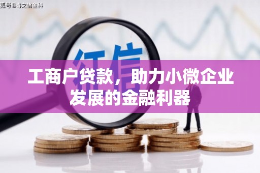 安乡工商户贷款，助力小微企业发展的金融利器