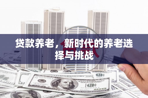 安乡贷款养老，新时代的养老选择与挑战