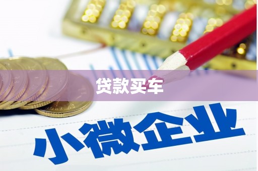 安乡贷款买车