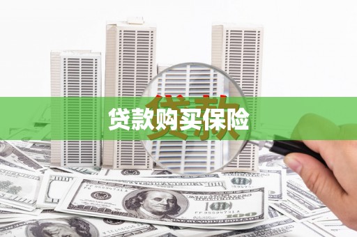 安乡贷款购买保险