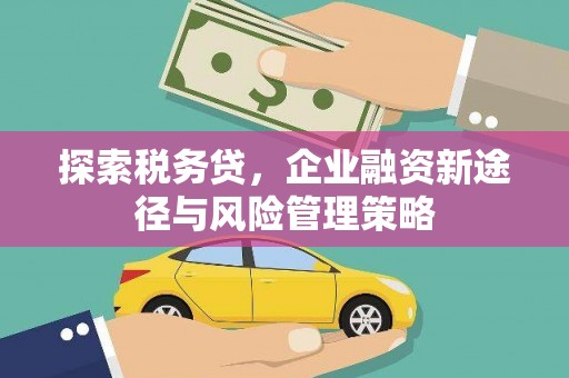 安乡探索税务贷，企业融资新途径与风险管理策略