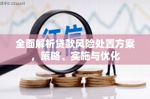 安乡全面解析贷款风险处置方案，策略、实施与优化