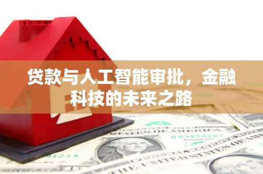 安乡贷款与人工智能审批，金融科技的未来之路