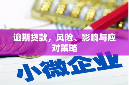 安乡逾期贷款，风险、影响与应对策略