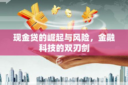 安乡现金贷的崛起与风险，金融科技的双刃剑