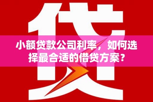 安乡小额贷款公司利率，如何选择最合适的借贷方案？