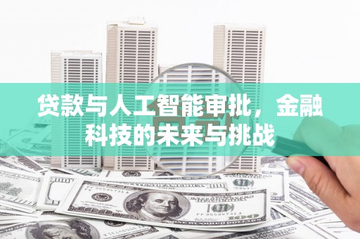 安乡贷款与人工智能审批，金融科技的未来与挑战