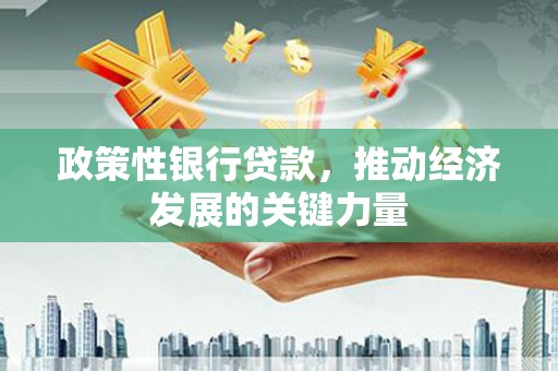 安乡政策性银行贷款，推动经济发展的关键力量