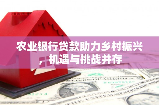 安乡农业银行贷款助力乡村振兴，机遇与挑战并存