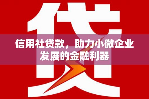 安乡信用社贷款，助力小微企业发展的金融利器