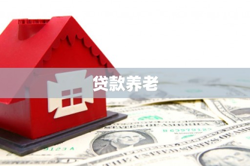 安乡贷款养老