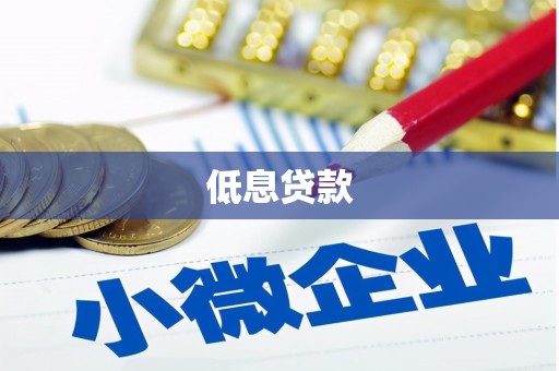 安乡低息贷款