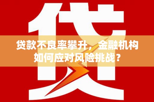 安乡贷款不良率攀升，金融机构如何应对风险挑战？