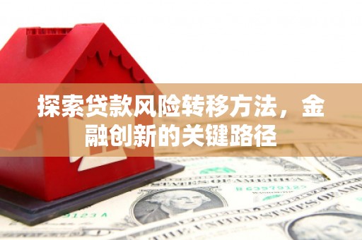 安乡探索贷款风险转移方法，金融创新的关键路径
