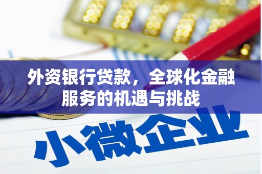 安乡外资银行贷款，全球化金融服务的机遇与挑战