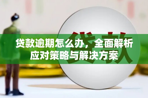 安乡贷款逾期怎么办，全面解析应对策略与解决方案