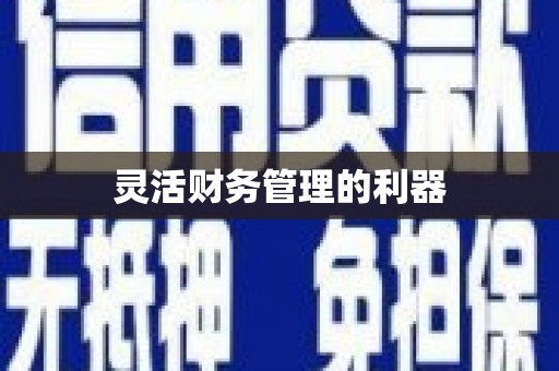 安乡灵活财务管理的利器