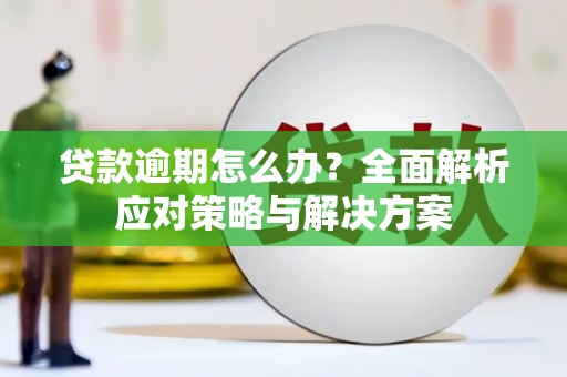 安乡贷款逾期怎么办？全面解析应对策略与解决方案