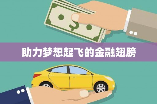 安乡助力梦想起飞的金融翅膀