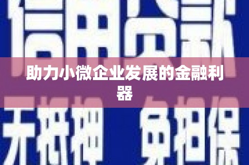 安乡助力小微企业发展的金融利器