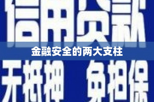 安乡金融安全的两大支柱