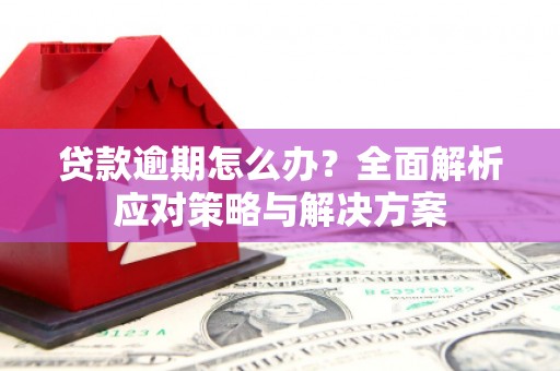 安乡贷款逾期怎么办？全面解析应对策略与解决方案