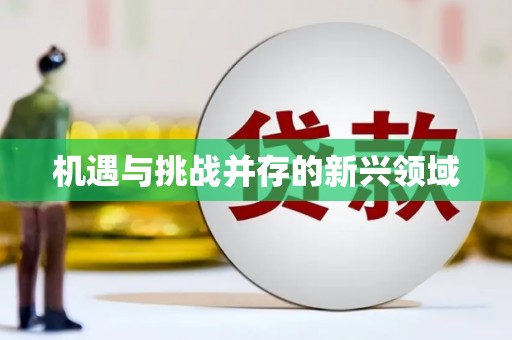 安乡机遇与挑战并存的新兴领域