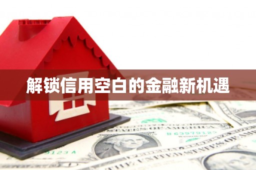 安乡解锁信用空白的金融新机遇