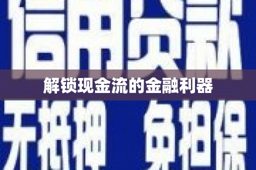 安乡解锁现金流的金融利器