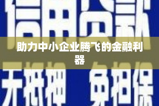 安乡助力中小企业腾飞的金融利器