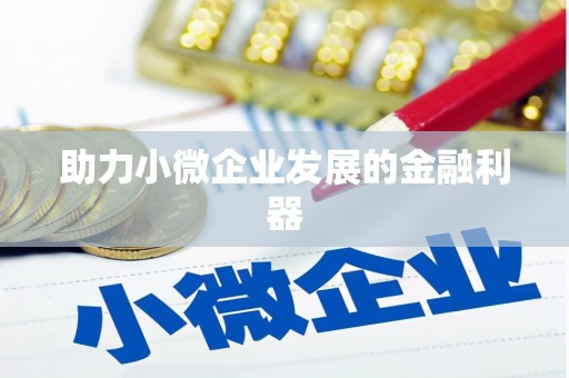 安乡助力小微企业发展的金融利器