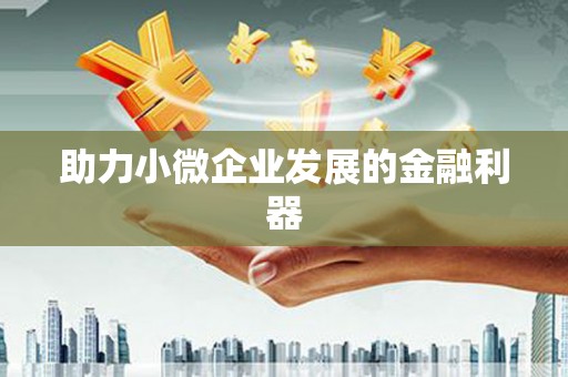 安乡助力小微企业发展的金融利器