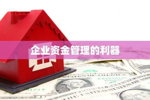 安乡企业资金管理的利器