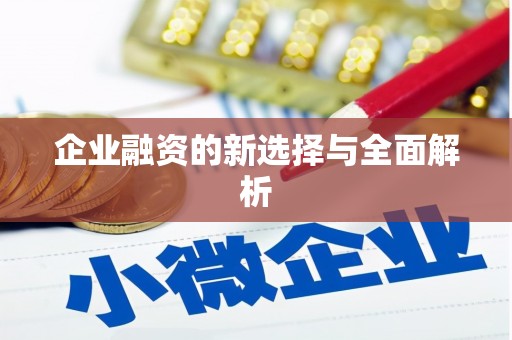 安乡企业融资的新选择与全面解析