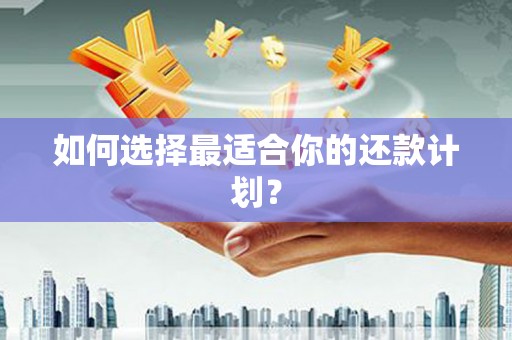 安乡如何选择最适合你的还款计划？