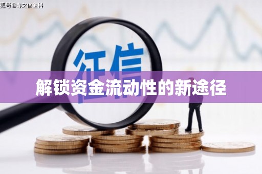 安乡解锁资金流动性的新途径
