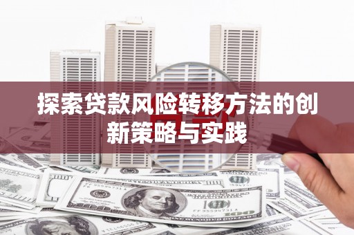 安乡探索贷款风险转移方法的创新策略与实践